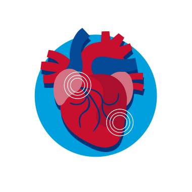 Icon representing a heart, valves and arteries 